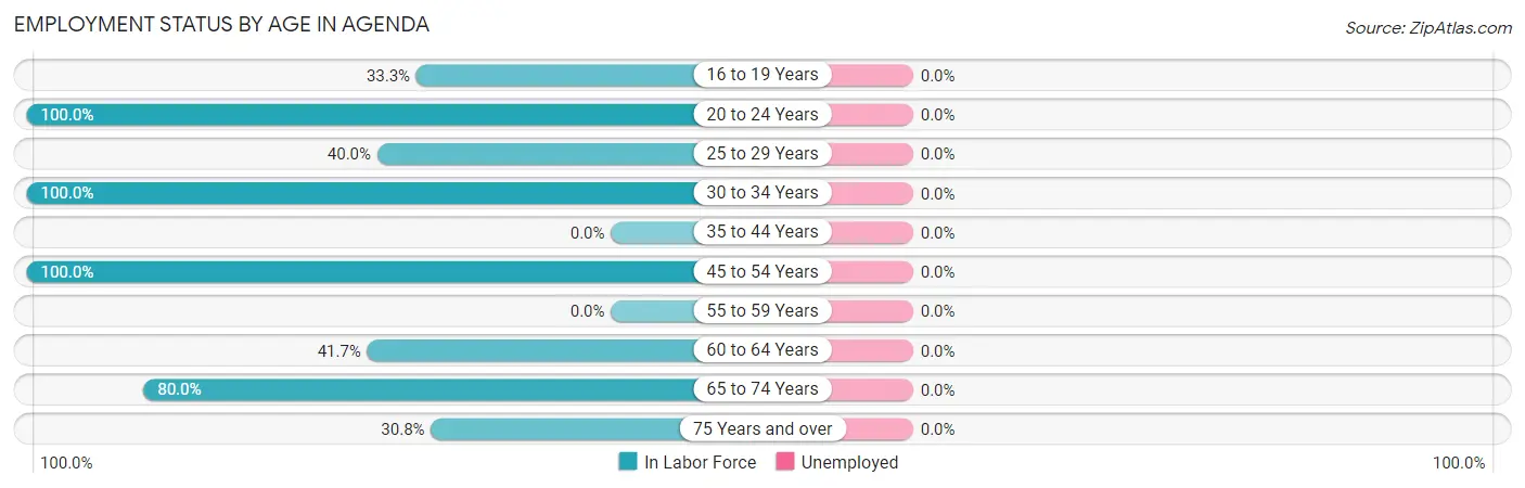 Employment Status by Age in Agenda