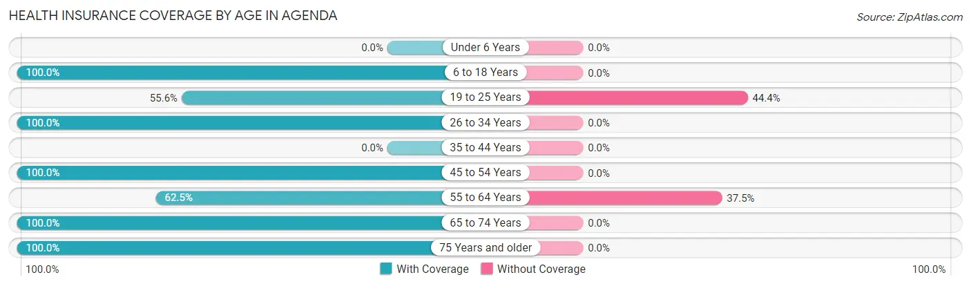Health Insurance Coverage by Age in Agenda