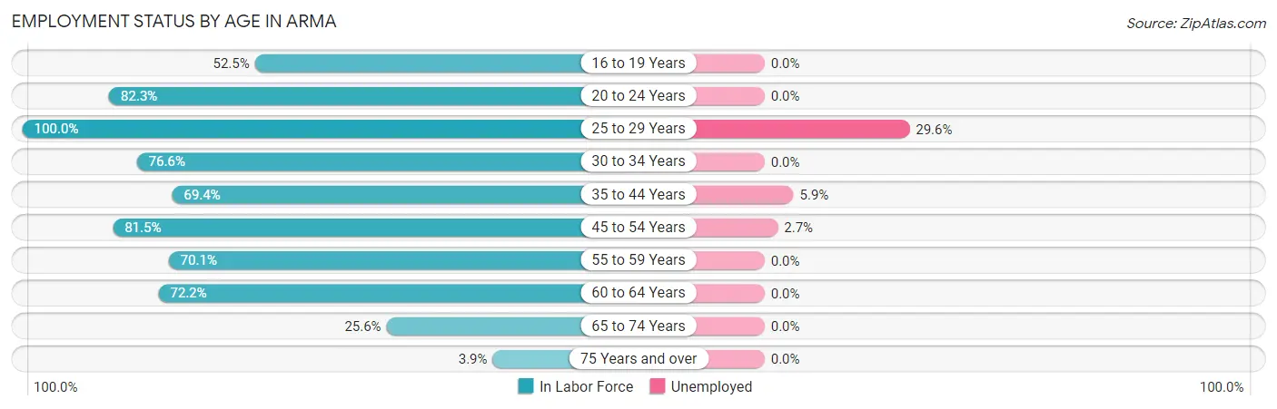 Employment Status by Age in Arma