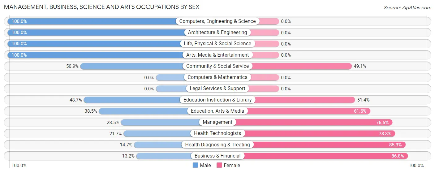 Management, Business, Science and Arts Occupations by Sex in Arma