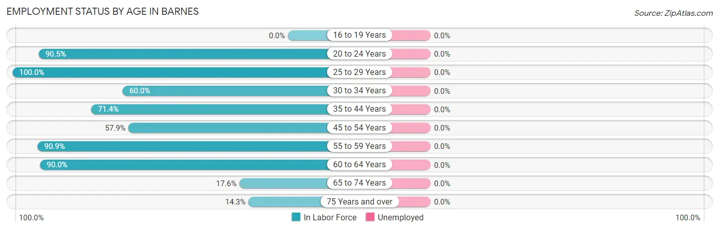 Employment Status by Age in Barnes