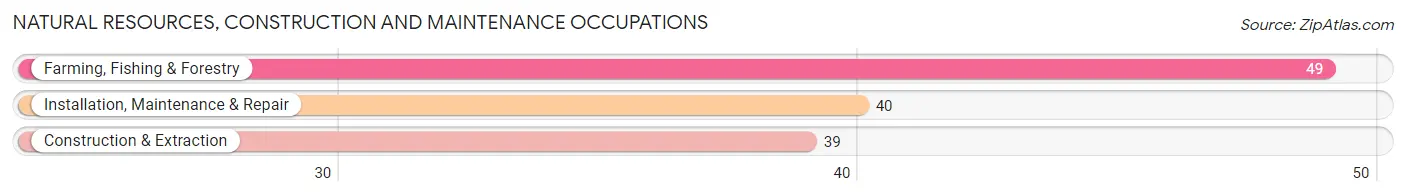 Natural Resources, Construction and Maintenance Occupations in Beloit