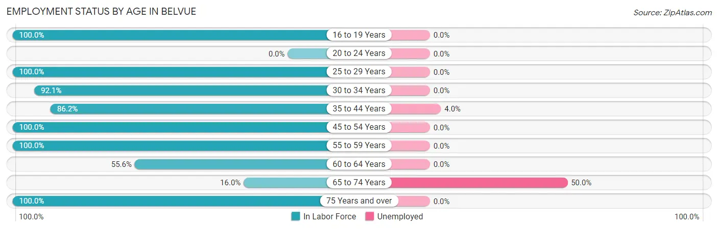 Employment Status by Age in Belvue
