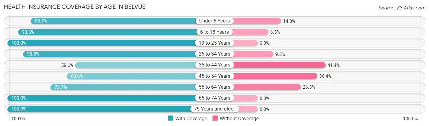Health Insurance Coverage by Age in Belvue