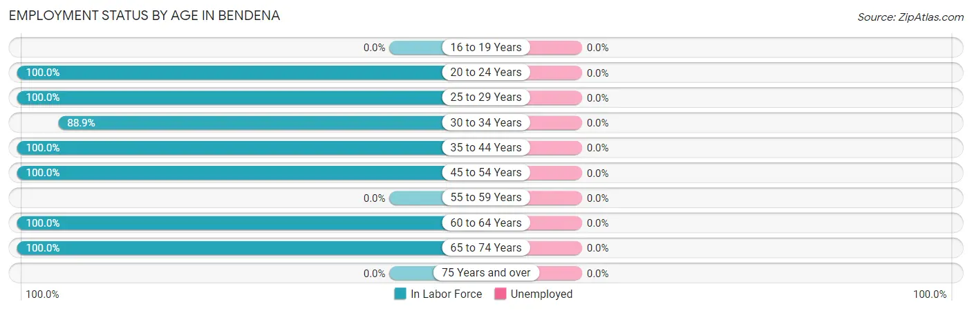 Employment Status by Age in Bendena