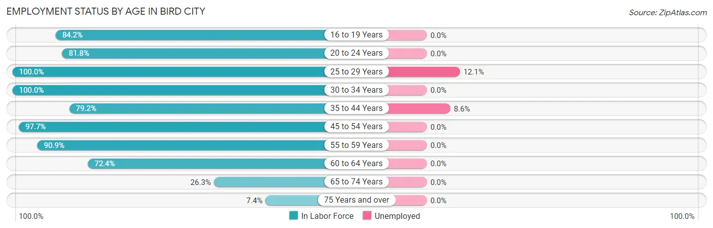 Employment Status by Age in Bird City