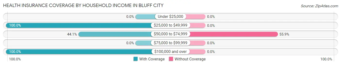 Health Insurance Coverage by Household Income in Bluff City