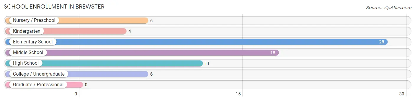 School Enrollment in Brewster