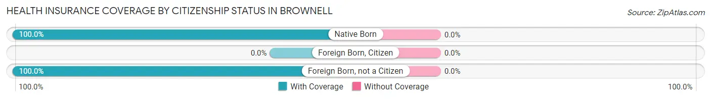 Health Insurance Coverage by Citizenship Status in Brownell