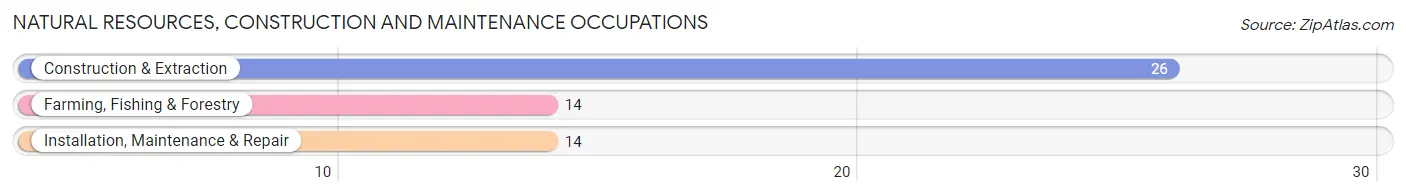 Natural Resources, Construction and Maintenance Occupations in Bucklin