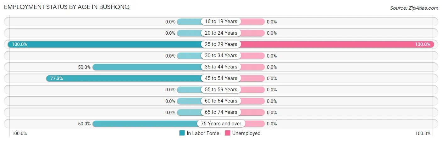 Employment Status by Age in Bushong