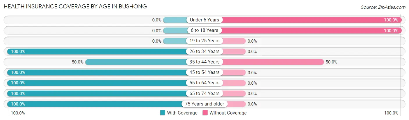 Health Insurance Coverage by Age in Bushong