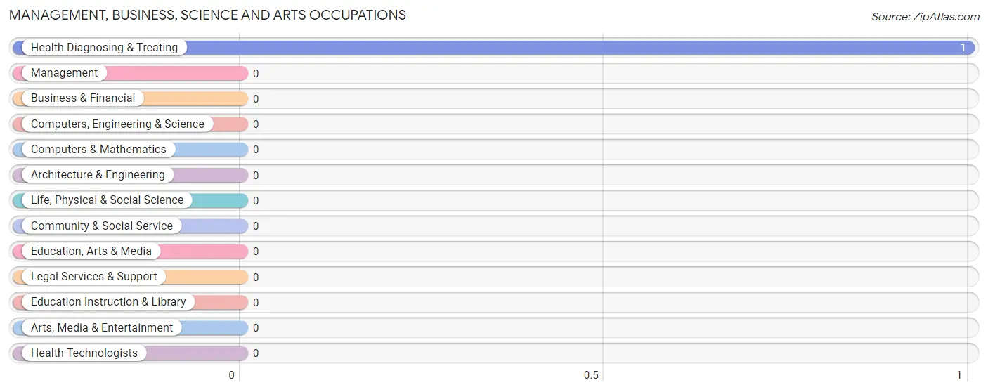 Management, Business, Science and Arts Occupations in Bushong