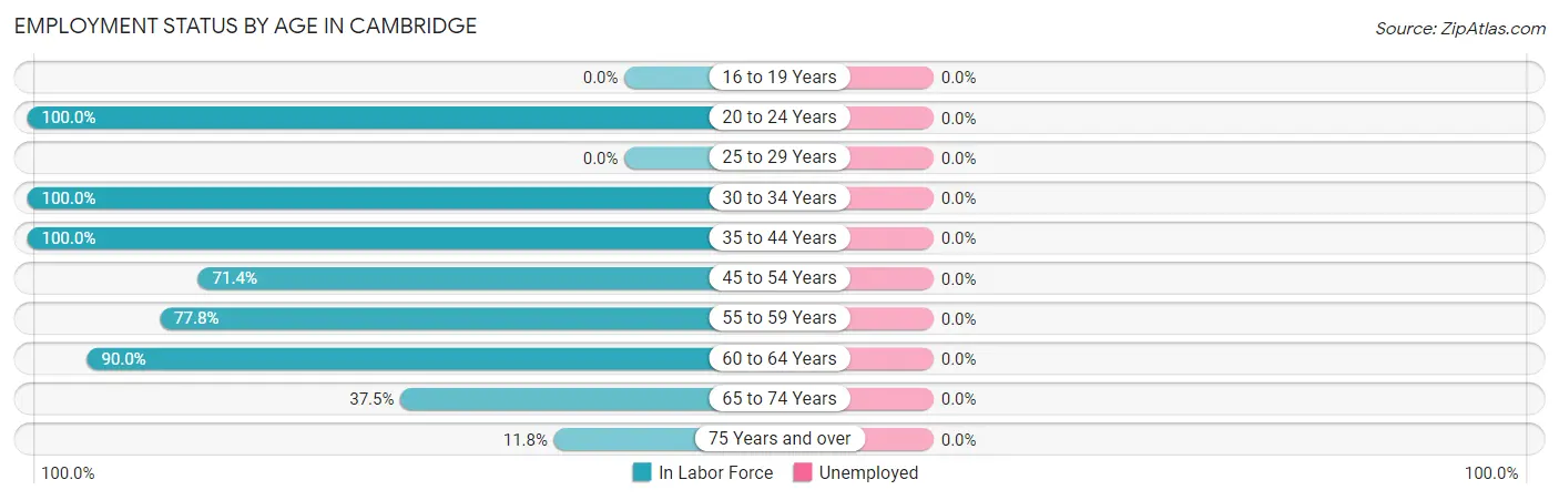 Employment Status by Age in Cambridge