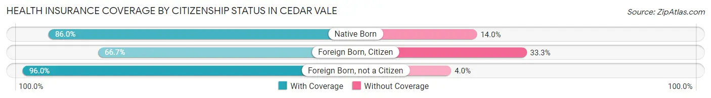 Health Insurance Coverage by Citizenship Status in Cedar Vale