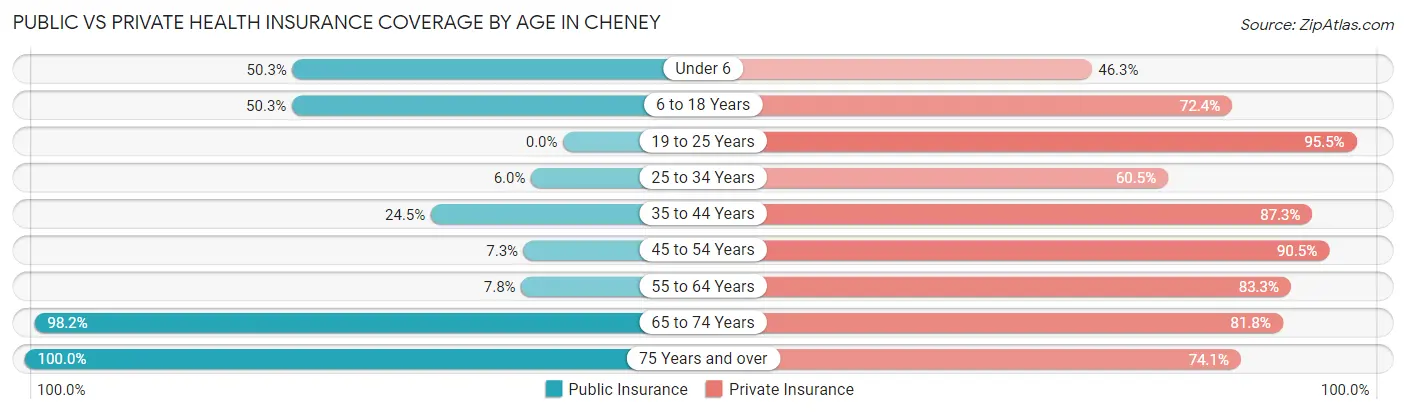 Public vs Private Health Insurance Coverage by Age in Cheney