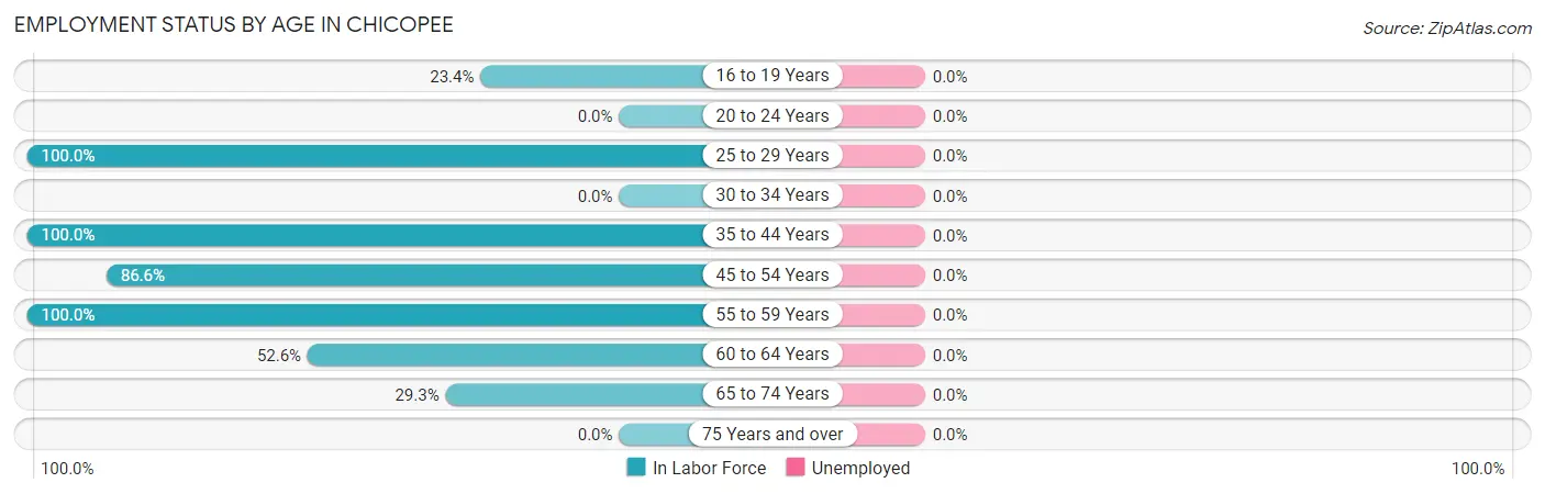 Employment Status by Age in Chicopee