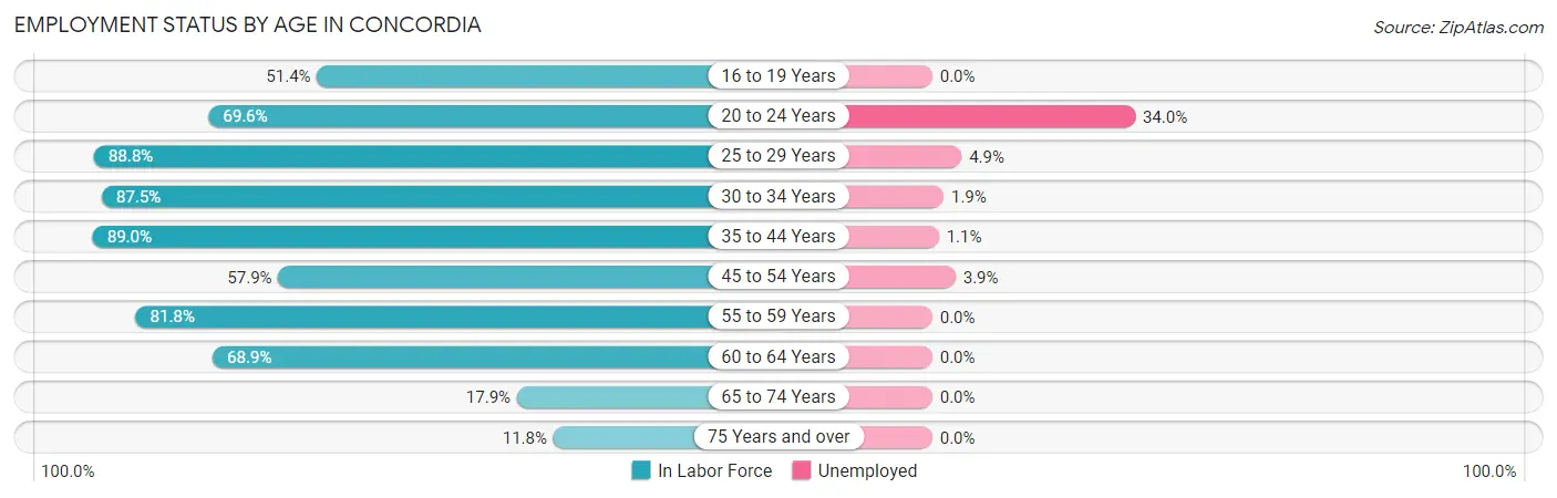 Employment Status by Age in Concordia