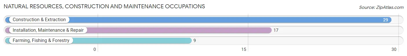 Natural Resources, Construction and Maintenance Occupations in Conway Springs