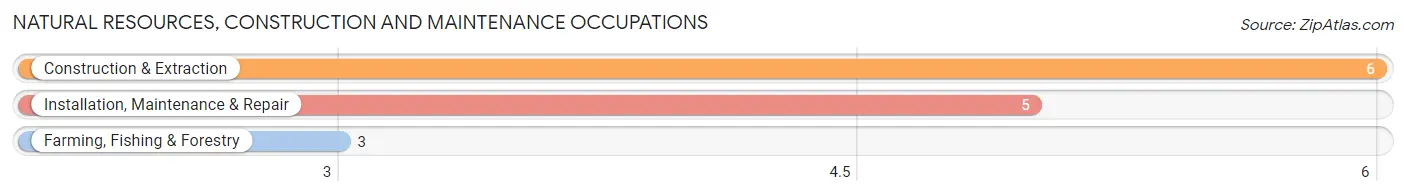 Natural Resources, Construction and Maintenance Occupations in Cunningham