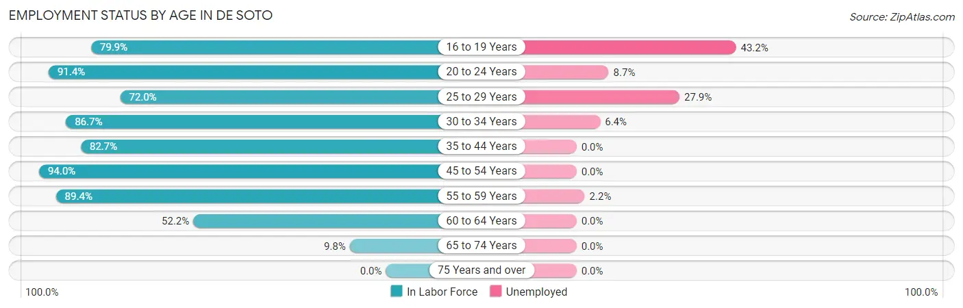 Employment Status by Age in De Soto