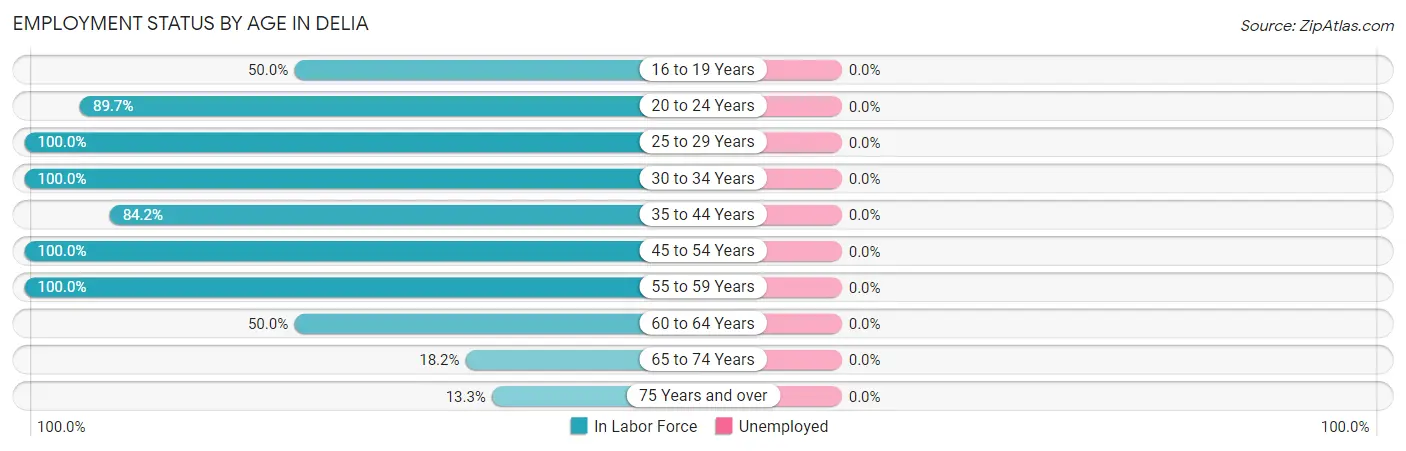 Employment Status by Age in Delia