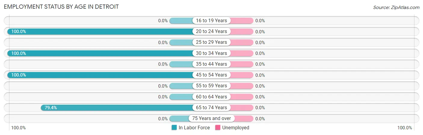 Employment Status by Age in Detroit