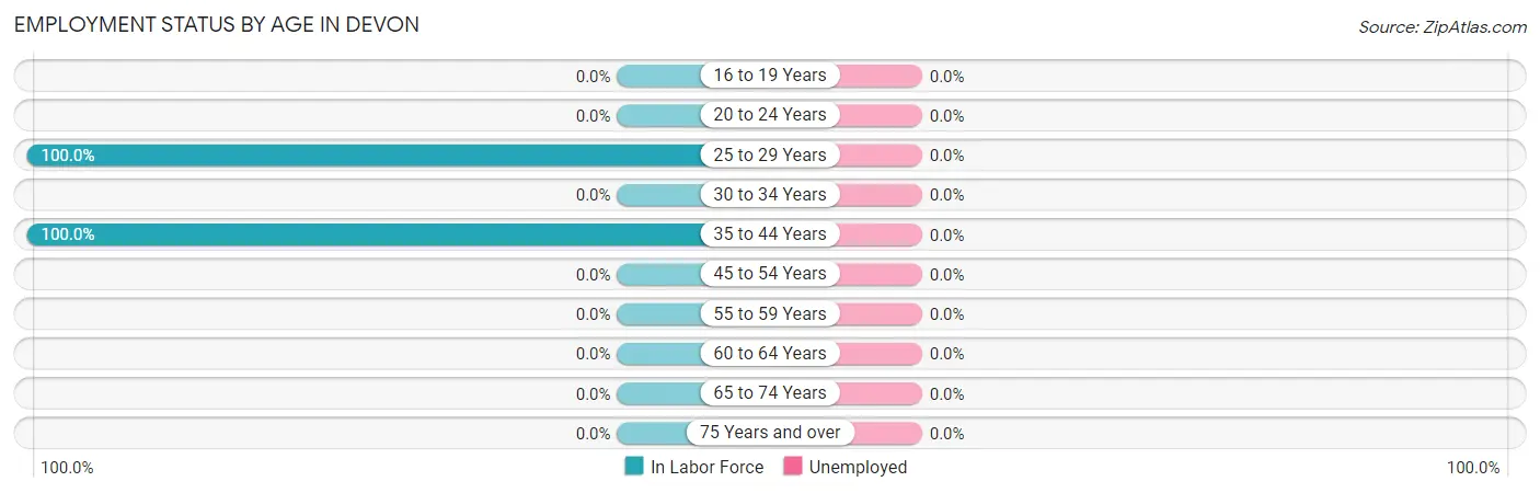 Employment Status by Age in Devon