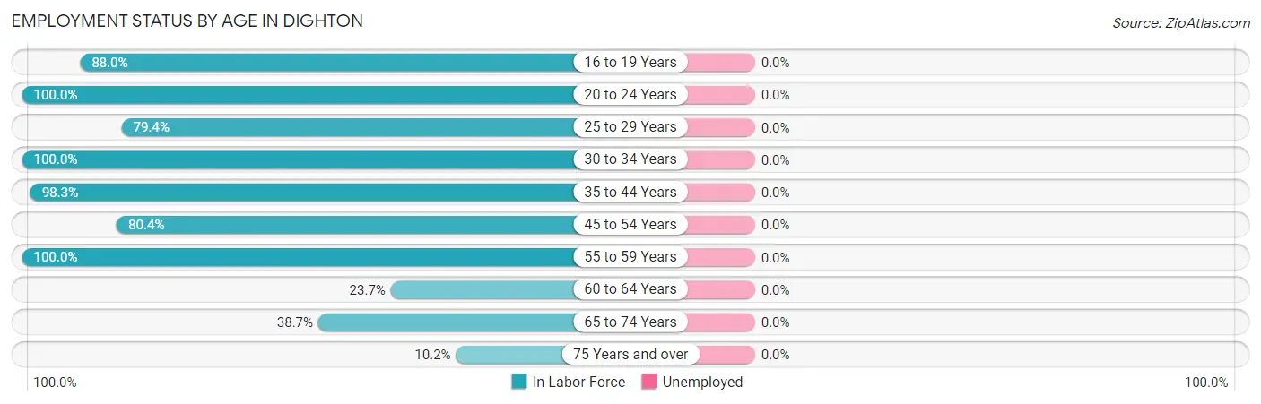 Employment Status by Age in Dighton