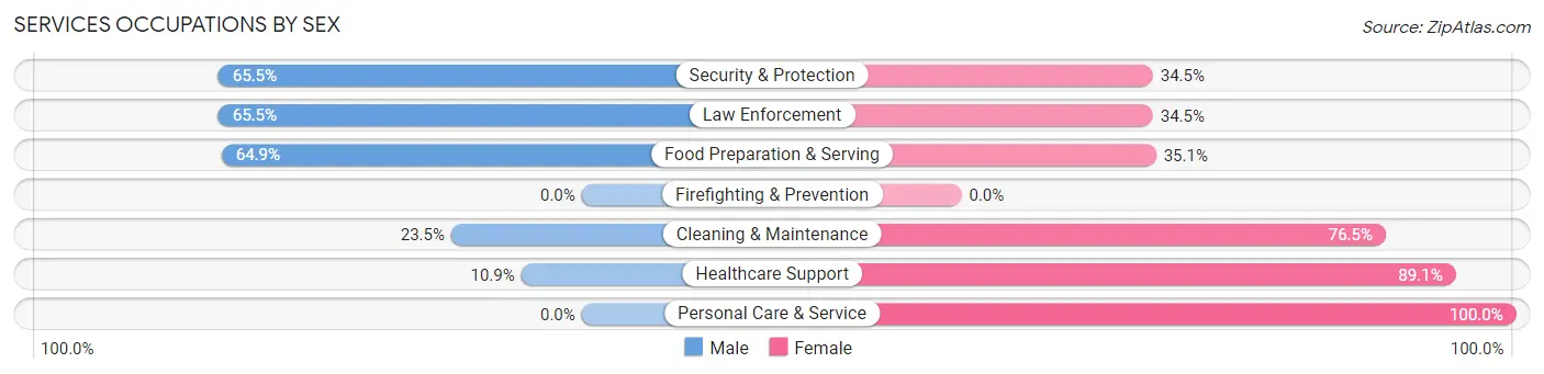Services Occupations by Sex in Ellsworth