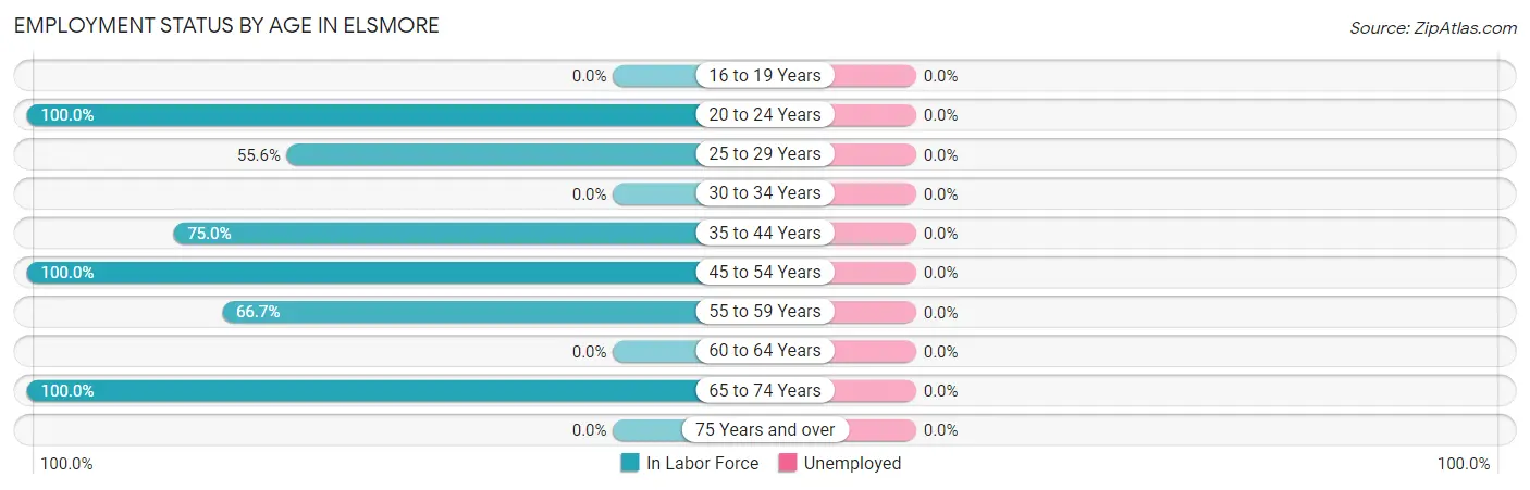 Employment Status by Age in Elsmore