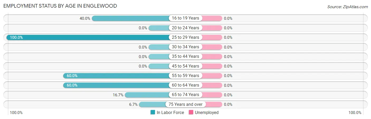 Employment Status by Age in Englewood