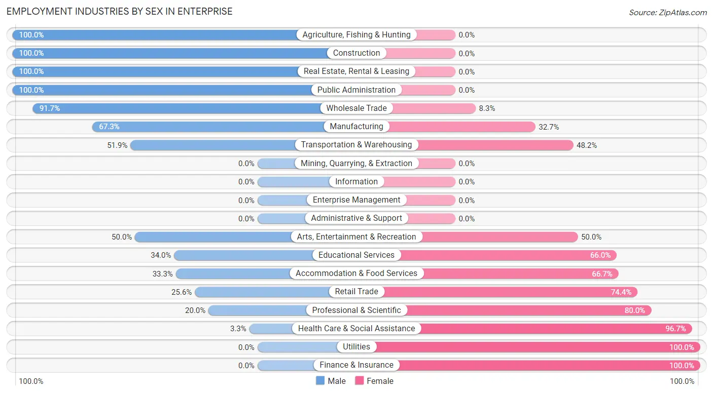 Employment Industries by Sex in Enterprise