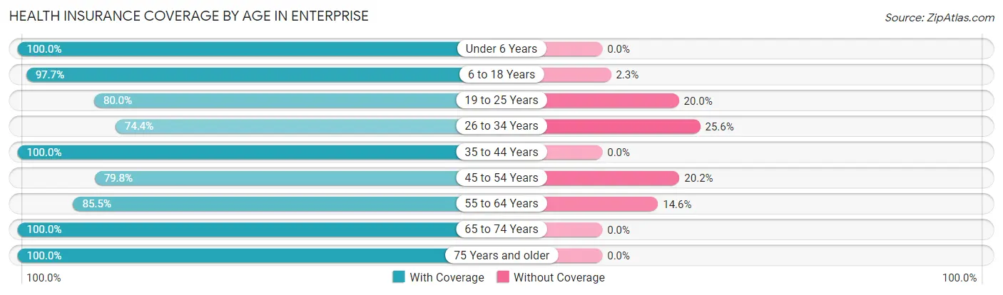 Health Insurance Coverage by Age in Enterprise