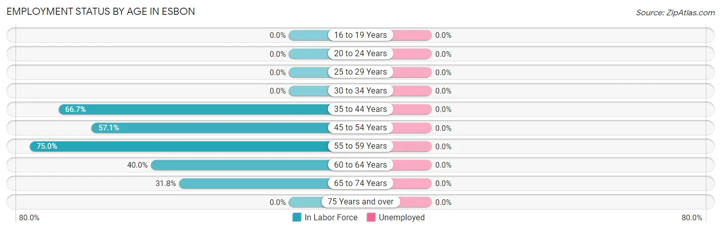 Employment Status by Age in Esbon