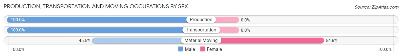 Production, Transportation and Moving Occupations by Sex in Everest