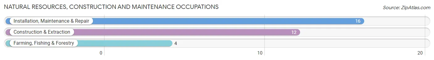 Natural Resources, Construction and Maintenance Occupations in Fowler