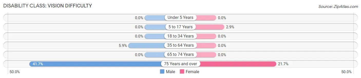 Disability in Fowler: <span>Vision Difficulty</span>