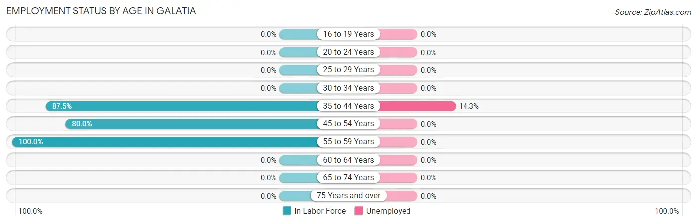 Employment Status by Age in Galatia