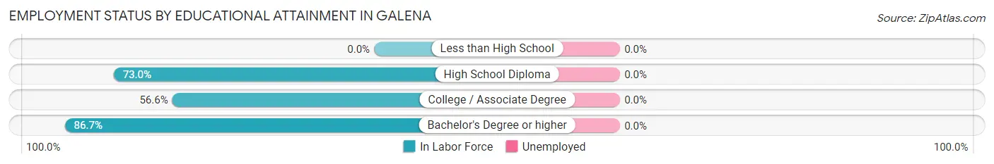Employment Status by Educational Attainment in Galena