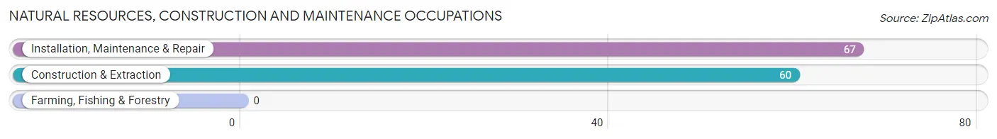 Natural Resources, Construction and Maintenance Occupations in Garnett