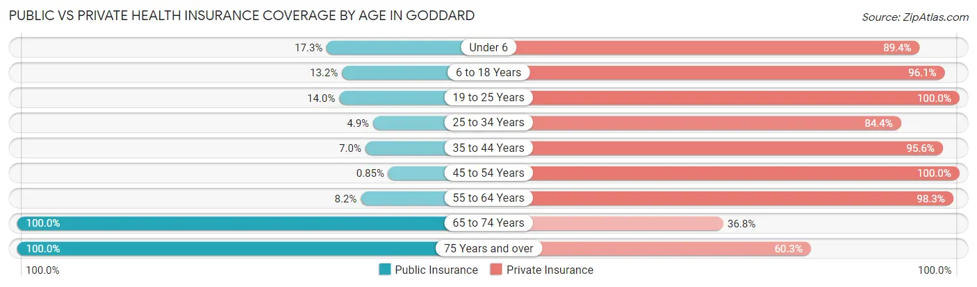 Public vs Private Health Insurance Coverage by Age in Goddard