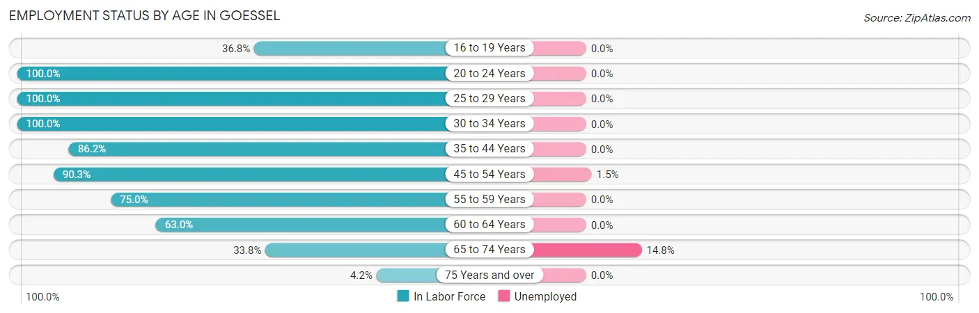 Employment Status by Age in Goessel