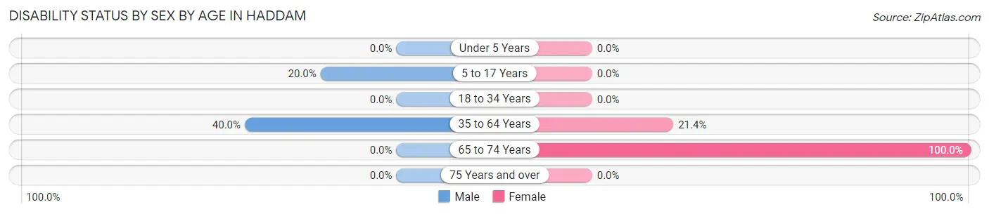 Disability Status by Sex by Age in Haddam