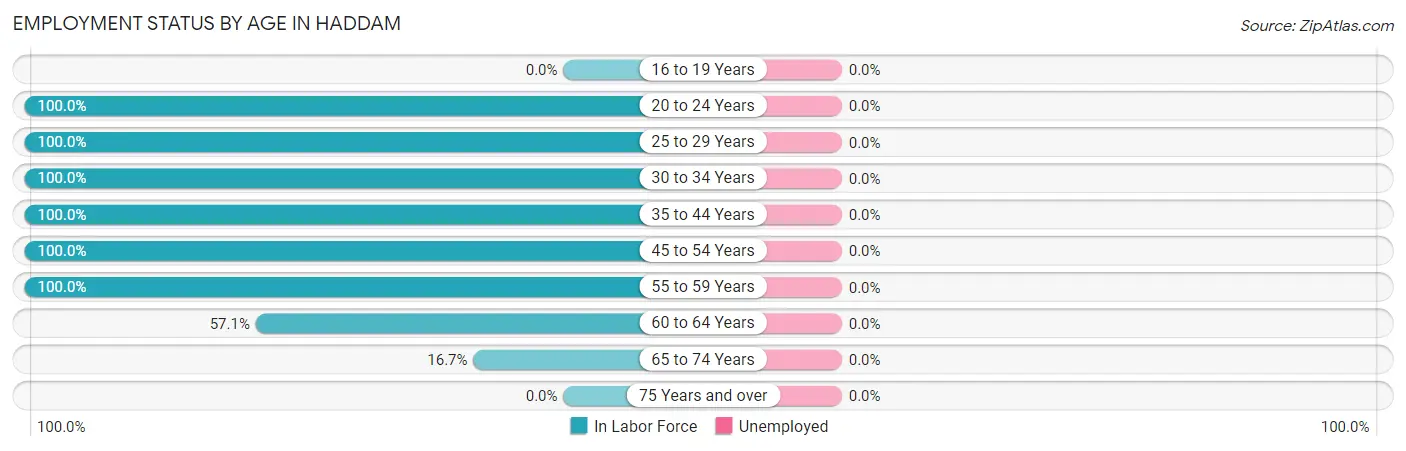 Employment Status by Age in Haddam