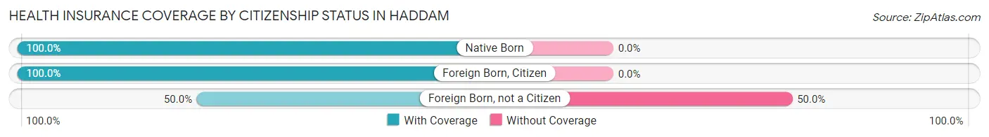 Health Insurance Coverage by Citizenship Status in Haddam