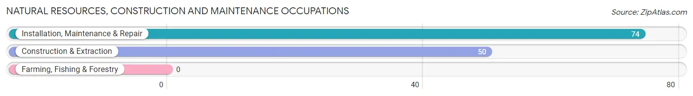 Natural Resources, Construction and Maintenance Occupations in Halstead