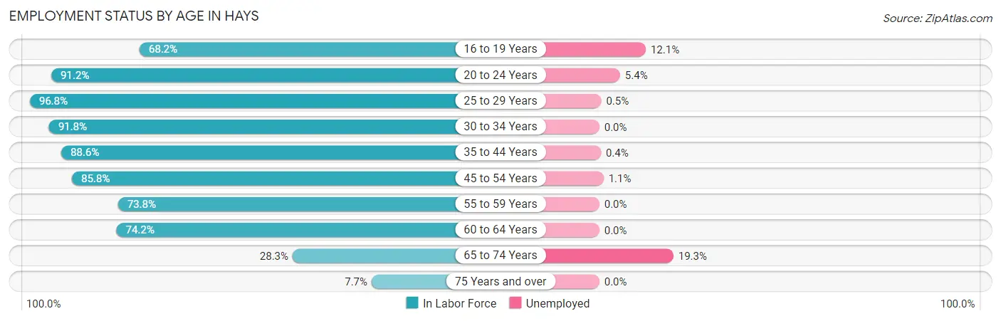 Employment Status by Age in Hays