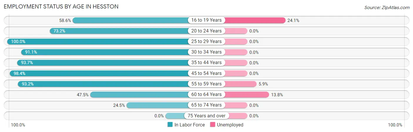 Employment Status by Age in Hesston