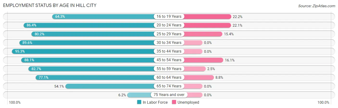 Employment Status by Age in Hill City